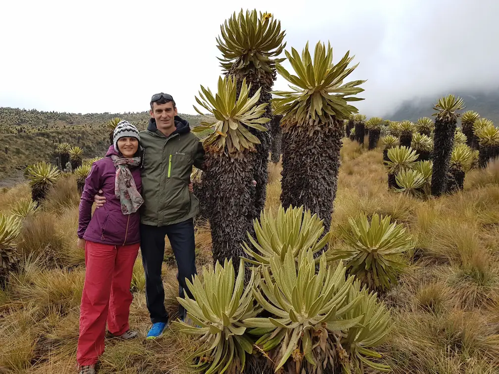 About Us Algis Crafts